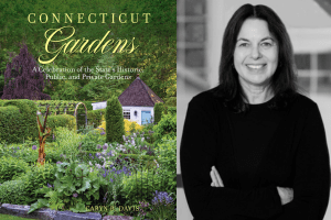 CT Gardens by Caryn B Davis