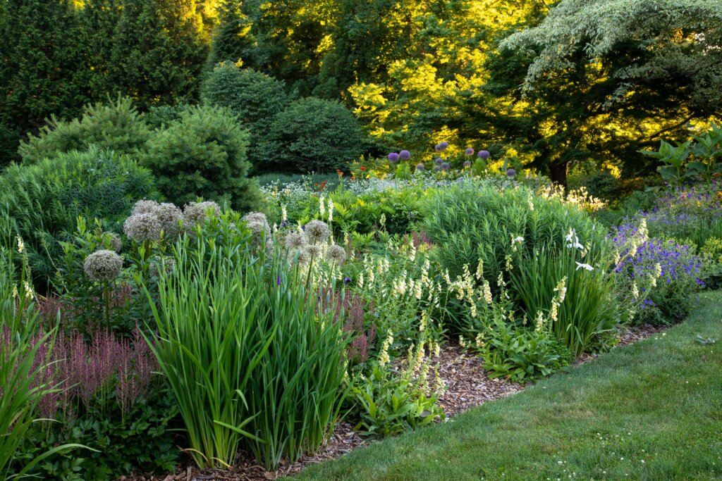 Wadia Garden, Gitanjali, New Canaan, CT Caryn B. Davis Photography