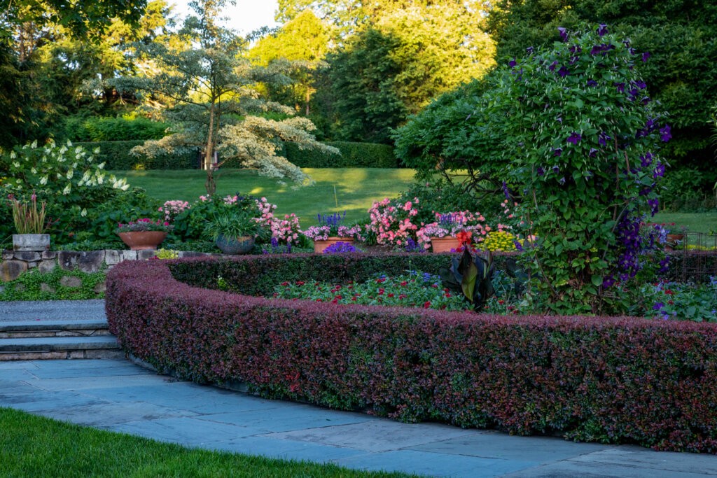 Wadia Garden, Gitanjali, New Canaan, CT Caryn B Davis Photography