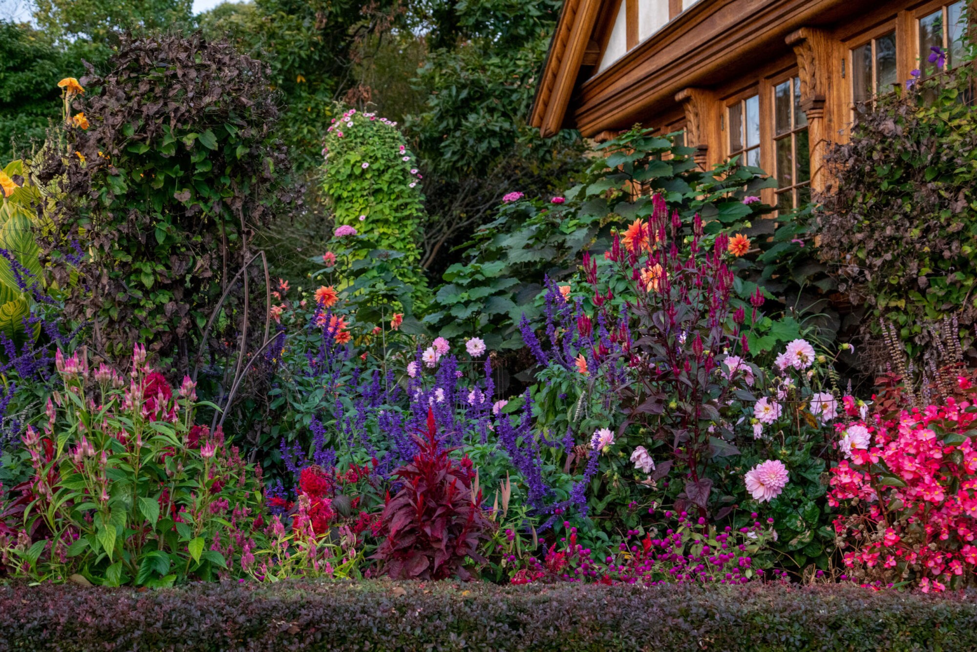 Wadia Garden, Gitanjali, New Canaan, CT Caryn B Davis Photography