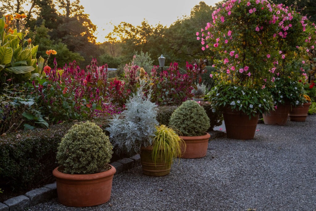 Wadia Garden, Gitanjali, New Canaan, CT Caryn B Davis Photography