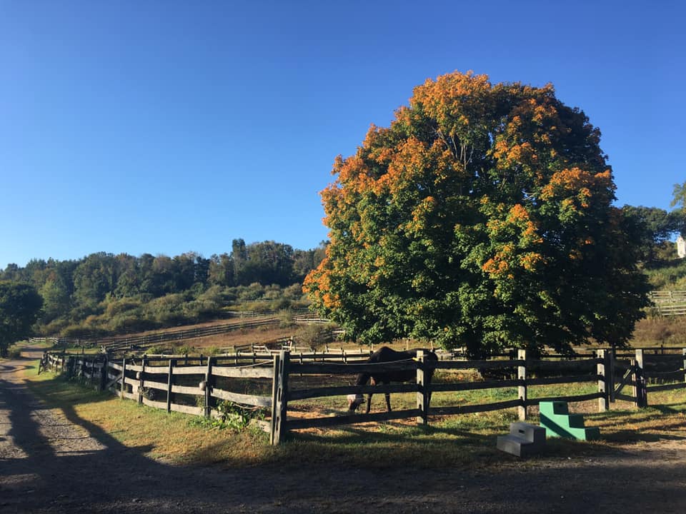 Willow Creek Estates Southbury CT Horse Property