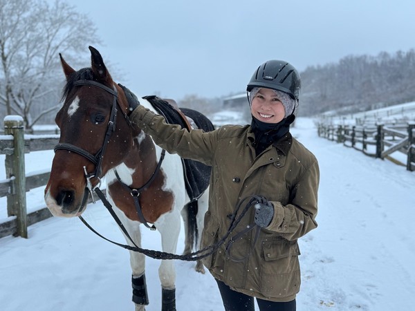 Willow Creek Estates Southbury CT Equestrian development